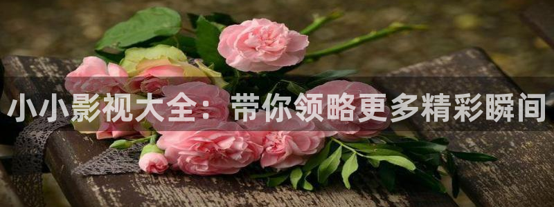 九九在线观看精品免费视频