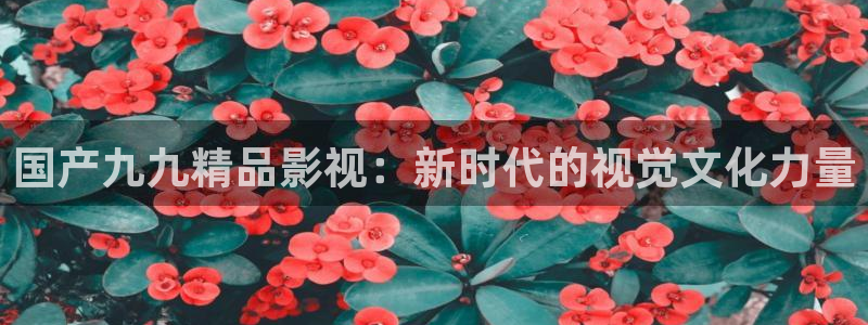 九九九久久久视频