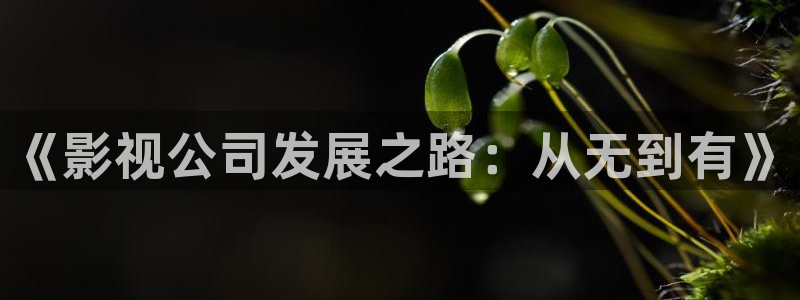 九九影院午夜理论片被窝电影网